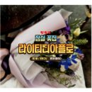 라이티티아플로 이미지