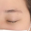 더무드라인