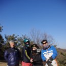 지인 Daum카페
