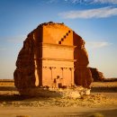 Pet's Tree 이미지