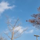 만능세차장