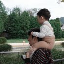 [쑥쑥이 D+549] 18개월 아기랑 서울대공원 서울랜드 동물원 다녀오기 | 주차 , 입장료