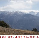 코사인 이미지