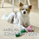 도그스케치 | 강아지 노즈워크 장난감 도그스케치 5in1 삑삑이