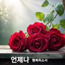 다님 이미지