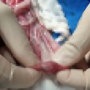 24시 더나은동물메디컬센터 이미지