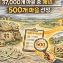 햇빛행정사 이미지