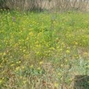 제이원병원 | 서울 사무실 천장형 시스템 벽걸이 에어컨청소 빠른 예약 제이원