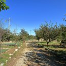 양양 고인돌 오토캠핑장 이미지