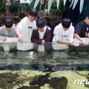 20회수산 이미지