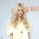 새서울사 세계일보