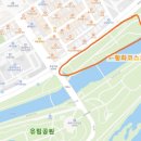 하천(갑천4) | 대전 10월 가볼만한 곳 갑천 어은교 황화코스모스 군락지