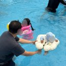 322번가 | •경주• 천북 322번가 키즈펜션 실내놀이방 미온수무료 야외수영장 가성비 펜션