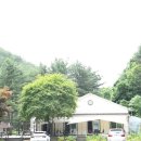 잣나무 향기 펜션 이미지