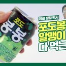 봉봉미디어