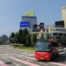 덴탈아트 이미지