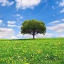 초보생활영어 이미지