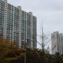 부산광역시 영도구 함지로 네이버블로그