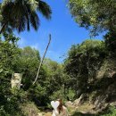 흥형농장 | 나트랑여행 2일차🇻🇳 JJ씨푸드, 무이네선셋지프투어 투어추천, 무이네사막 후기&amp;복장 꿀팁