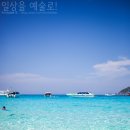 씨스타(seastar) 이미지