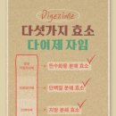 엠제이커피 네이버블로그