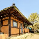 산수유꽃길로 이미지