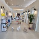 발리애견호텔 이미지