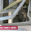 (주)빙키 이미지