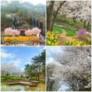 농서동 428, 농서동 임시공영주차장 앞 | 걷기 일상 - 홍제천폭포, 연희숲속쉼터, 안산자락길, 안산방죽(feat. 카페 폭포)