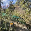 강아지테마파크 이미지