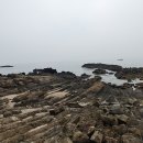 양남주상절리 이미지