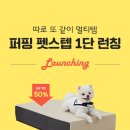 댕댕이모 이미지