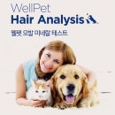 웰펫동물병원 네이버블로그