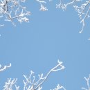 봄여름가을겨울(춘하추동) 이미지