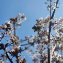 발산어르신행복센터 화장실 | 2026 연지곤지 어르신들과 함께 한 연지곤지 벗꽃나들이 활동후기2