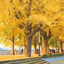 마크라메 공예 이미지