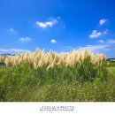 그라스 - 창원시 성산구 동산로65번길 15 | 그라스