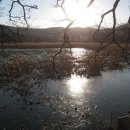 틀모산 도시숲 이미지