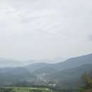 CC싸인