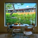 솔리,자운 이미지