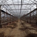 성하농장 이미지