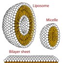 서울바른약국 이미지