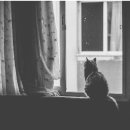 공간속의빛 이미지