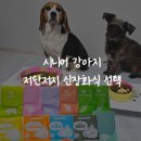 저단9 | 시니어 강아지 식단 고민 끝 도거박스 저단저지 강아지신장화식 후기