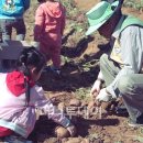 인천농장 이미지