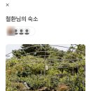 귤림하우스 네이버블로그