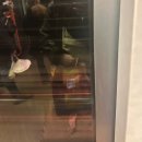 카페 유앤아이(Cafe U I | [여자 혼자 유럽여행] _ ep.3 3박 4일 체코 프라하 여행 Part.1 🇨🇿 | 비셰흐라드 근처 맛집 | 프라하...