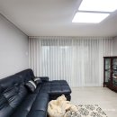 금산느티나무 이미지