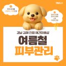 개털도사 이미지