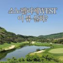 소노펠리체 비발디파크 WEST OUT코스 노캐디 라운딩 후기 | 그린피 할인 정보 까마귀 습격사건까지